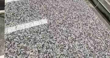 中山 芙蓉白光面