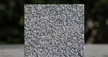 中山 芝麻黑荔枝面