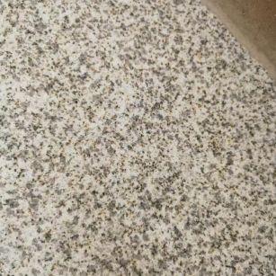 中山 黄金麻中黄光面