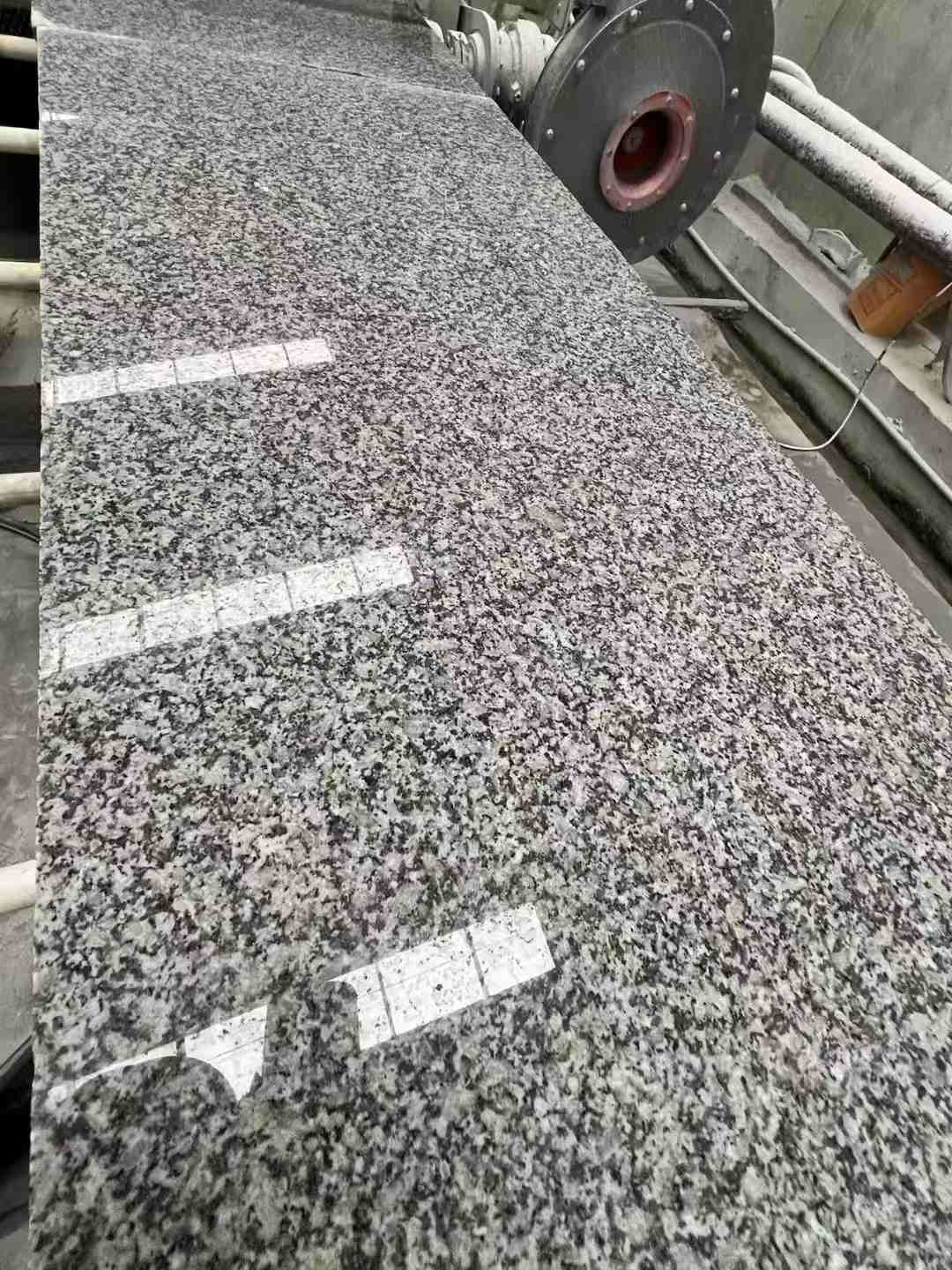 中山 芙蓉白光面