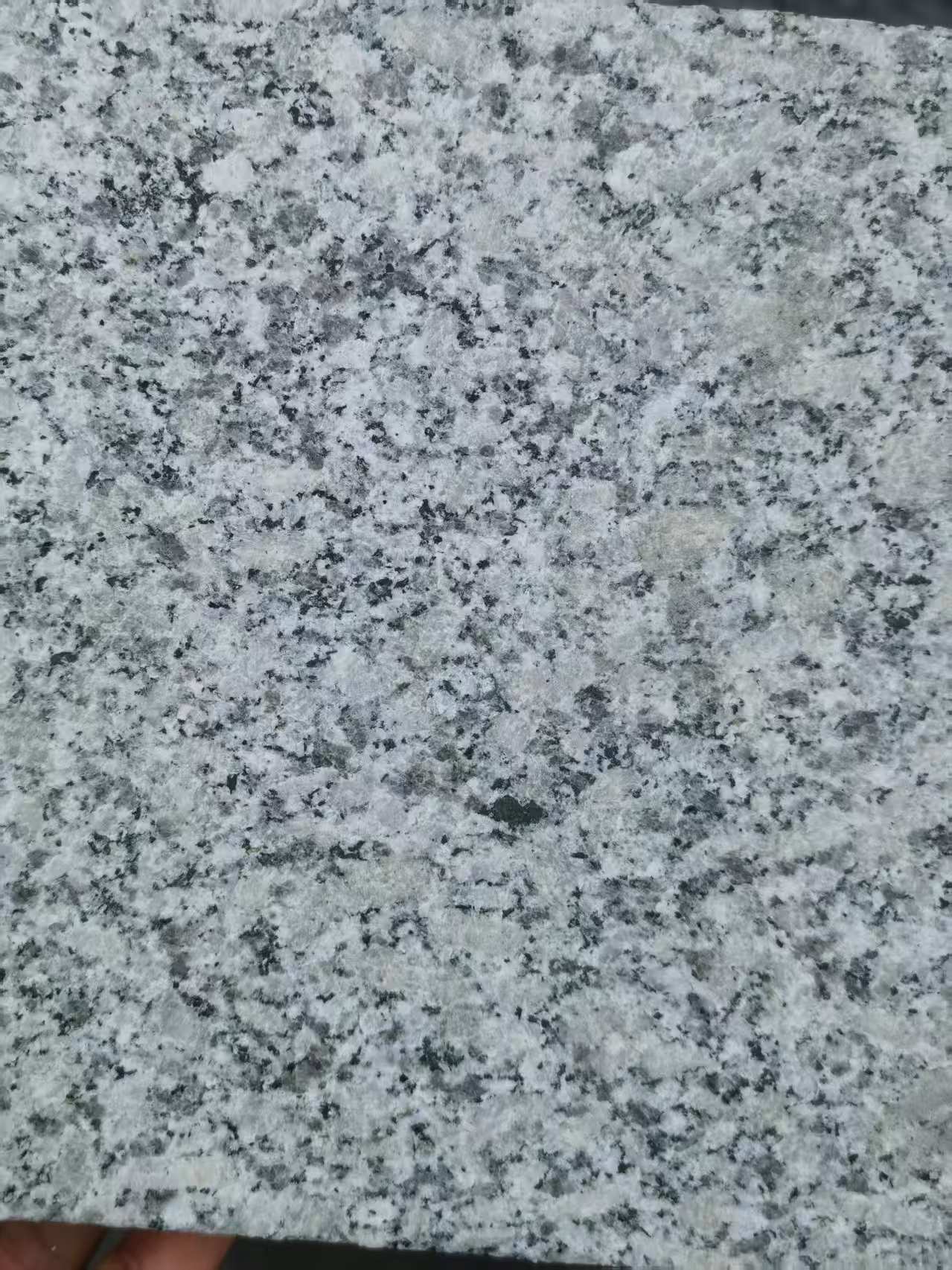 中山 芙蓉白火烧面