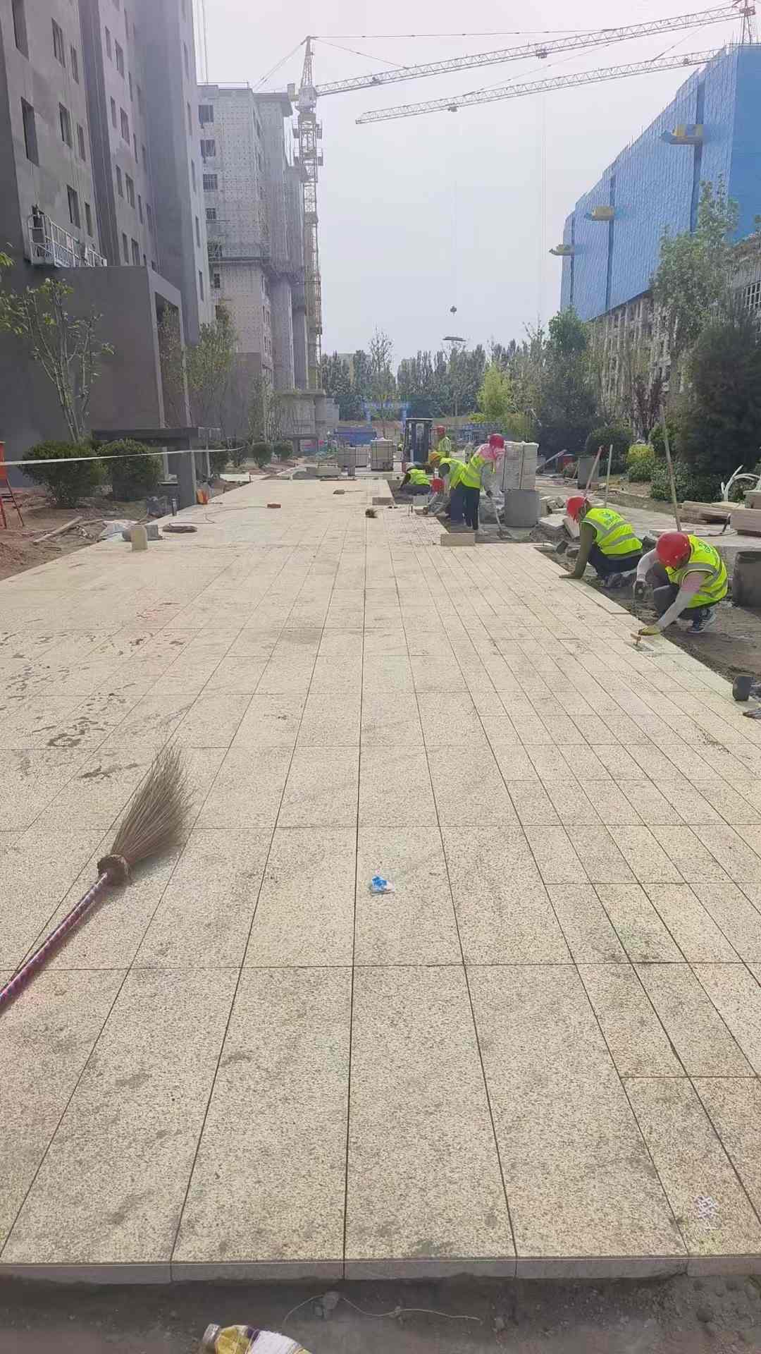 中山黄金麻荔枝面地铺案例