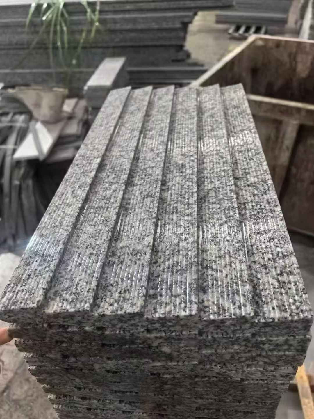 中山 狼牙石