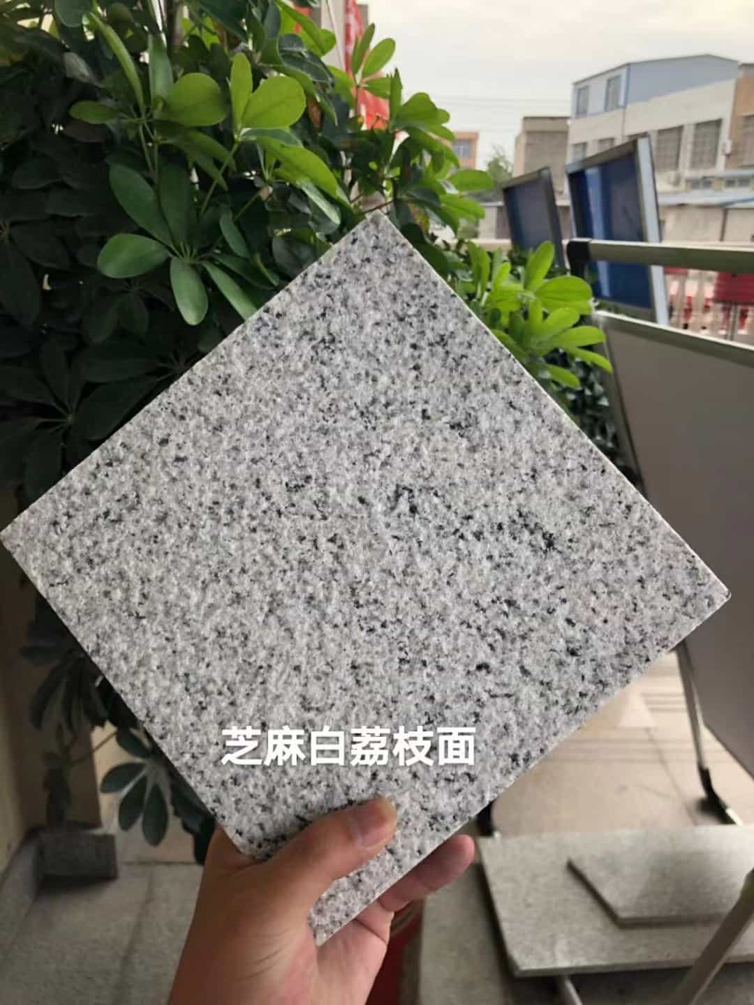 中山 芝麻白荔枝面干挂
