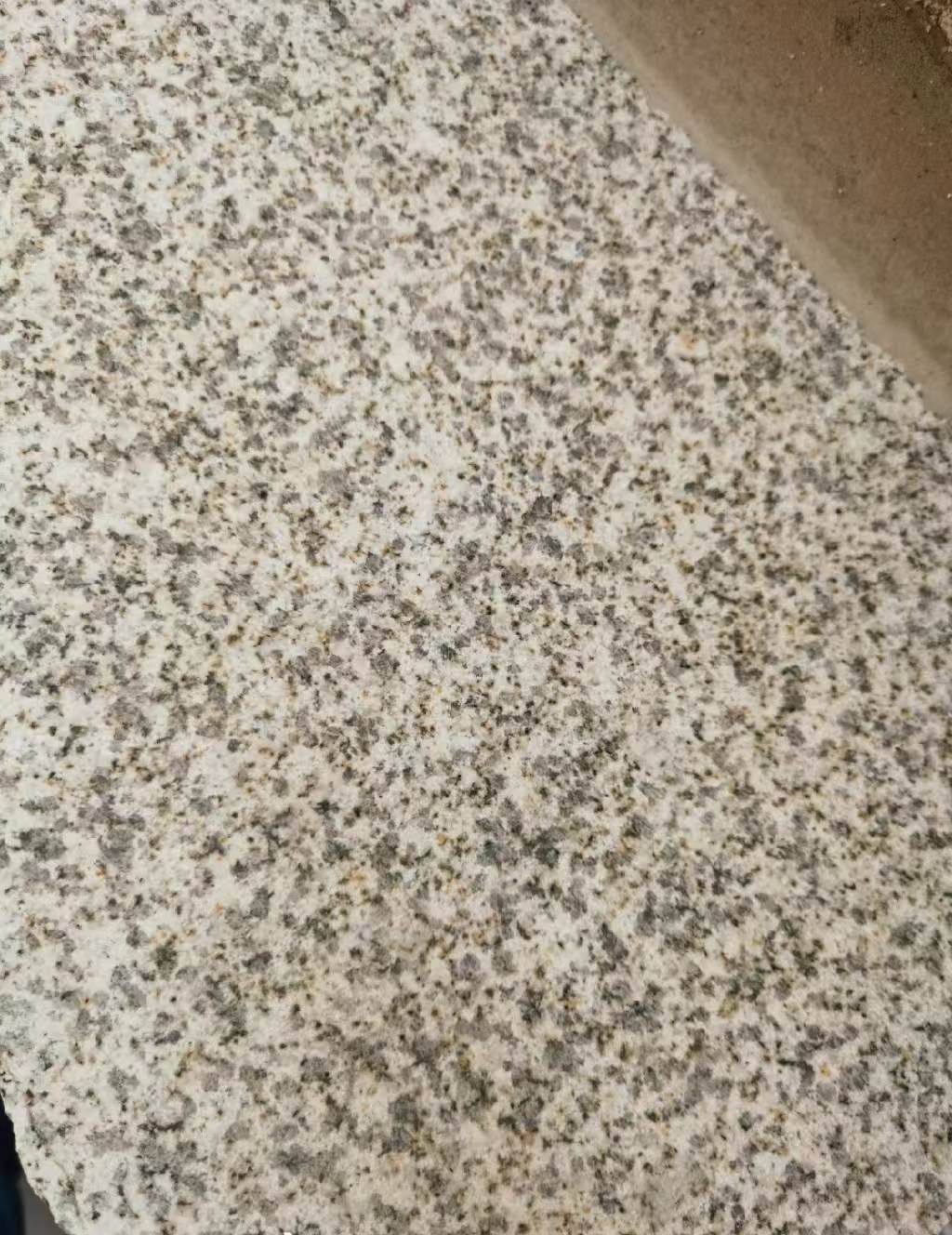 中山 黄金麻中黄光面